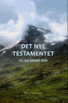 Det nye testamentet og Salmenes bok (Heftet)