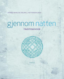 Gjennom natten av Sverre Bang og Erling J. Pettersen (Innbundet)