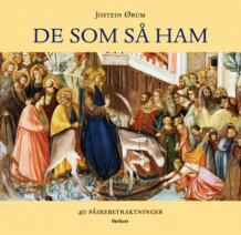 De som så ham av Jostein Ørum (Innbundet)