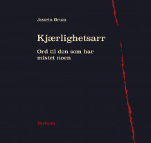 Kjærlighetsarr av Jostein Ørum (Heftet)