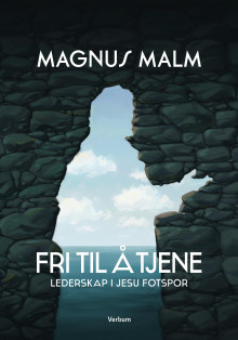 Fri til å tjene av Magnus Malm (Innbundet)