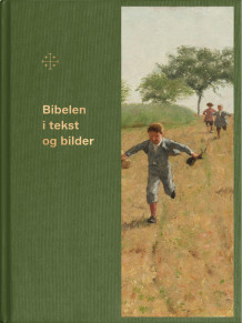 Bibelen i tekst og bilder (Innbundet)