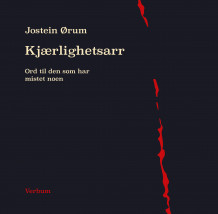 Kjærlighetsarr av Jostein Ørum (Innbundet)