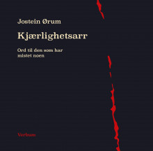 Kjærlighetsarr av Jostein Ørum (Innbundet)