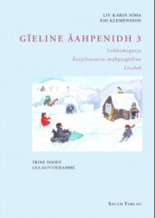 Gïeline åahpenidh 3 av Liv Karin Joma og Åse Klemensson (Heftet)