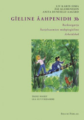 Gïeline åahpenidh 3b av Anita Dunfjeld Aagård, Liv Karin Joma og Åse Klemensson (Heftet)