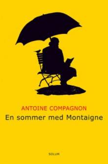 En sommer med Montaigne av Antoine Compagnon (Heftet)