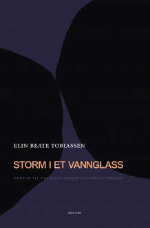 Storm i et vannglass av Elin Beate Tobiassen (Innbundet)