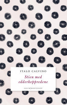 Stien med edderkoppredene av Italo Calvino (Innbundet)
