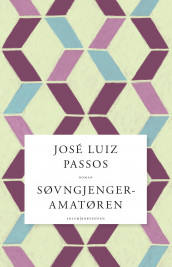 Søvngjengeramatøren av José Luiz Passos (Innbundet)