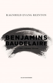 Benjamins Baudelaire av Ragnhild Evang Reinton (Innbundet)