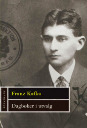 Dagbøker i utvalg av Franz Kafka (Ebok)