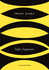 Tapte fragmenter av Franz Kafka (Innbundet)