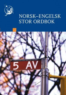 Norsk-engelsk stor ordbok av Vibecke C.D. Haslerud og Petter Henriksen (Innbundet)