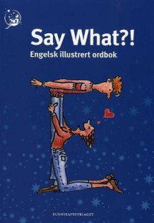 Say what?! av Espen Mellquist (Innbundet)