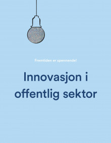 Innovasjon i offentlig sektor av Sjur Dagestad, Andreas Iversen, Bohdan Svinchuk, Hege Bø og Natalya Gayda (Innbundet)