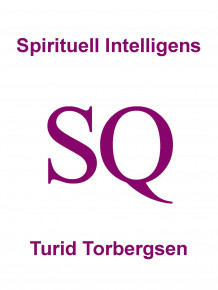 Spirituell Intelligens SQ av Turid Torbergsen (Ebok)