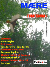 Fuglekongen av Kjell H. Mære (Ebok)