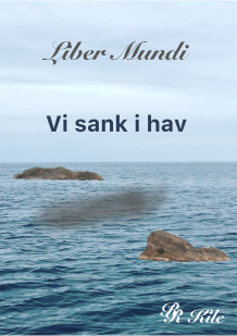 Vi sank i hav av Randi Røst Kile (Ebok)