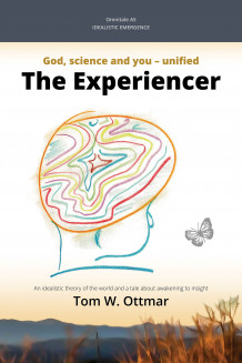 The experiencer av Tom W. Ottmar (Ebok)