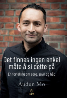 Det finnes ingen enkel måte å si dette på av Audun Mo (Innbundet)