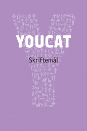 Youcat av Klaus Dick, Rudolf Gehrig, Bernhard Meuser og Andreas Süß (Heftet)