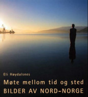 Møte mellom tid og sted av Eli Høydalsnes (Innbundet)