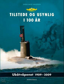 Tilstede og usynlig i 100 år av Svein Aage Knudsen (Innbundet)