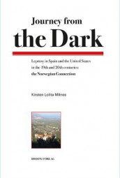 Journey from the dark av Kirsten Lolita Milnes (Innbundet)