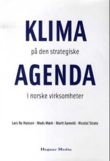 Klima på den strategiske agenda i norske virksomheter av Lars Bo Hansen, Mads Mørk, Marit Aamold og Nicolai Strate (Innbundet)