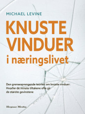 Knuste vinduer i næringslivet av Michael Levine (Innbundet)