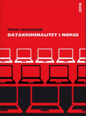 Datakriminalitet i Norge av Petter Gottschalk (Heftet)