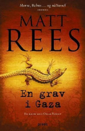 En grav i Gaza av Matt Rees (Innbundet)
