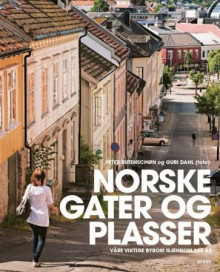 Norske gater og plasser av Peter Butenschøn (Innbundet)