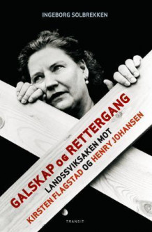 Galskap og rettergang av Ingeborg Solbrekken (Innbundet)