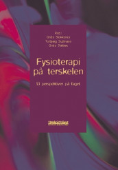 Fysioterapi på terskelen av Grete Stokkenes, Tobba Therkildsen Sudmann og Grete Sæbøe (Heftet)