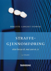 Straffegjennomføring av Birgitte Langset Storvik (Heftet)