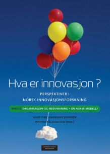 Hva er innovasjon? Perspektiver i norsk innovasjonsforskning av Hans Chr. Garmann Johnsen og Øyvind Pålshaugen (Heftet)