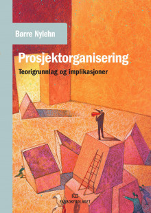 Prosjektorganisering av Børre Nylehn (Heftet)