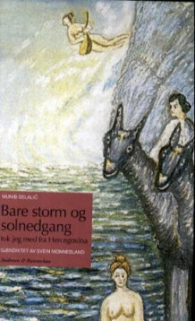 Bare storm og solnedgang tok jeg med fra Hercegovina av Munib Delalic (Innbundet)