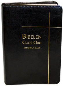 Bibelen av Norvald Yri, Sten Sørensen, Leif Jacobsen, Ingulf Diesen og Sigurd Grindheim (Innbundet)