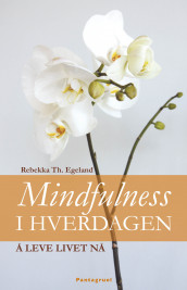 Mindfulness i hverdagen av Rebekka Th. Egeland (Heftet)