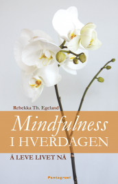 Mindfulness i hverdagen av Rebekka Egeland (Heftet)