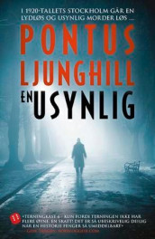 En usynlig av Pontus Ljunghill (Ebok)