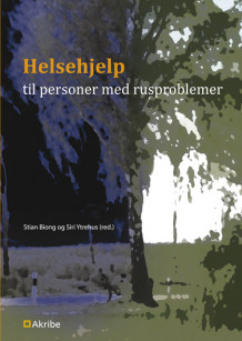 Helsehjelp til personer med rusproblemer av Stian Biong og Siri Ytrehus (Heftet)