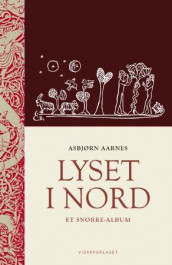 Lyset i nord av Asbjørn Aarnes (Innbundet)