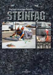 Steinfag av Stig Harald Lien og Magne Martinsen (Heftet)