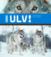 Ulv! av Elisabeth Johansen og Ingun A. Mæhlum (Innbundet)