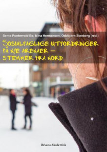 Sosialfaglige utfordringer på nye arenaer - stemmer fra nord av Bente Puntervold Bø, Nina Hermansen og Oddbjørn Stenberg (Heftet)
