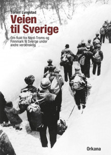 Veien til Sverige av Torleif Lyngstad (Heftet)